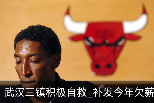武汉三镇积极自救 补发今年欠薪 准入大概率会解决